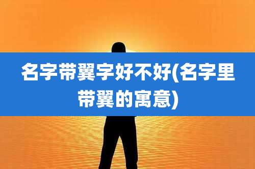 名字带翼字好不好(名字里带翼的寓意)