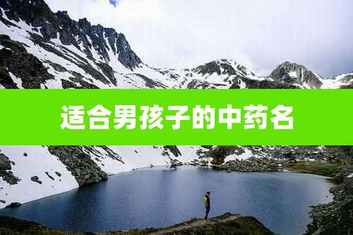 适合男孩子的中药名