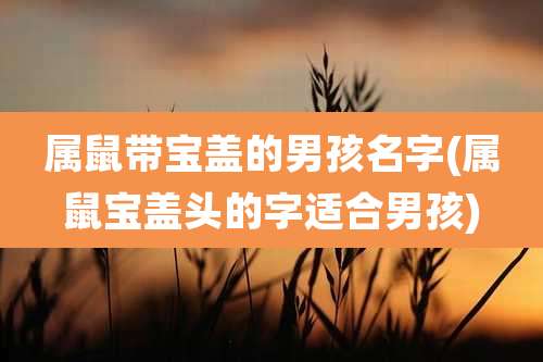 属鼠带宝盖的男孩名字(属鼠宝盖头的字适合男孩)