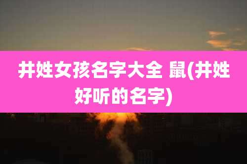 井姓女孩名字大全 鼠(井姓好听的名字)