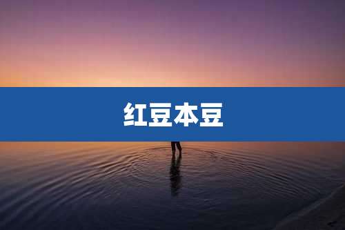 红豆本豆