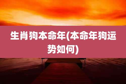 生肖狗本命年(本命年狗运势如何)