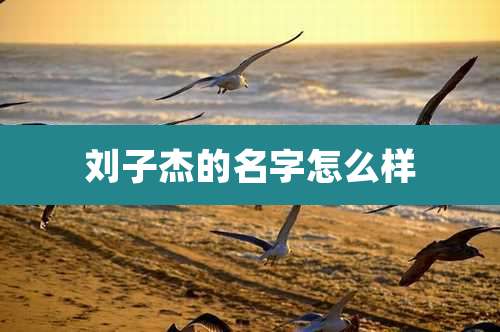 刘子杰的名字怎么样