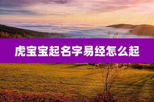 虎宝宝起名字易经怎么起