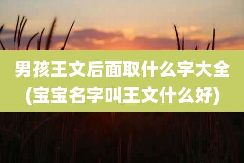 男孩王文后面取什么字大全(宝宝名字叫王文什么好)