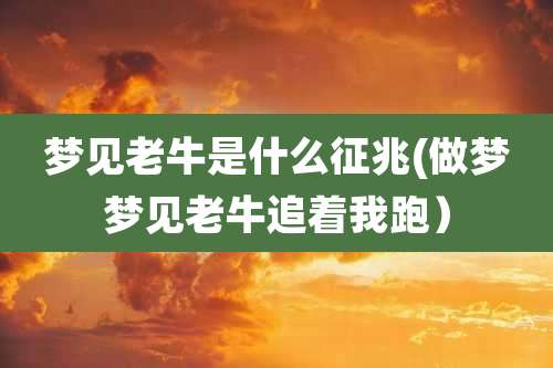 梦见老牛是什么征兆(做梦梦见老牛追着我跑)
