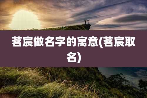 茗宸做名字的寓意(茗宸取名)