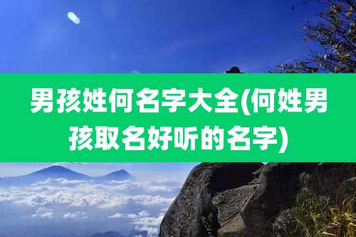 男孩姓何名字大全(何姓男孩取名好听的名字)