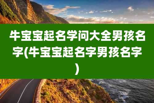 牛宝宝起名学问大全男孩名字(牛宝宝起名字男孩名字)