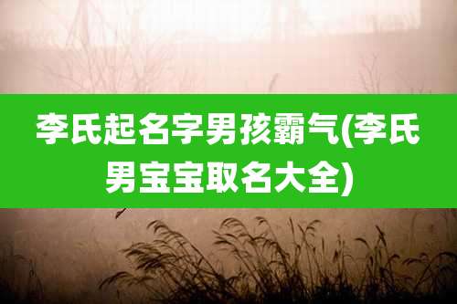 李氏起名字男孩霸气(李氏男宝宝取名大全)