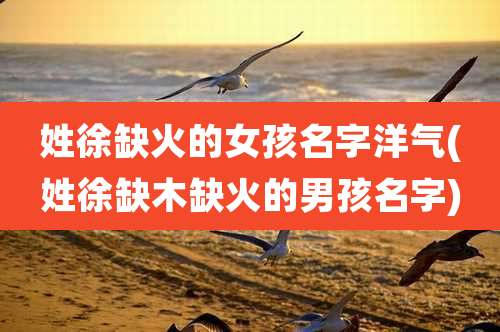 姓徐缺火的女孩名字洋气(姓徐缺木缺火的男孩名字)