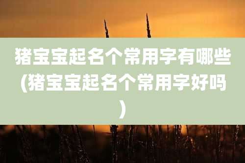 猪宝宝起名个常用字有哪些(猪宝宝起名个常用字好吗)