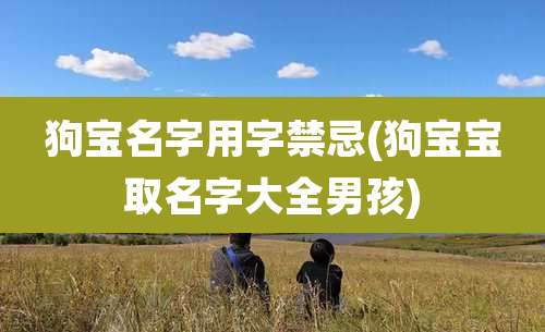 狗宝名字用字禁忌(狗宝宝取名字大全男孩)