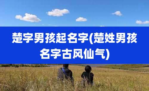 楚字男孩起名字(楚姓男孩名字古风仙气)