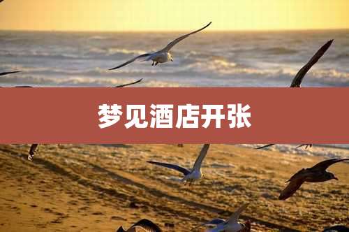 梦见酒店开张
