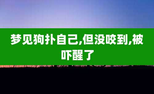 梦见狗扑自己,但没咬到,被吓醒了