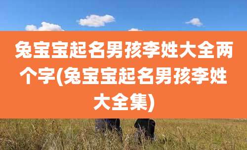 兔宝宝起名男孩李姓大全两个字(兔宝宝起名男孩李姓大全集)