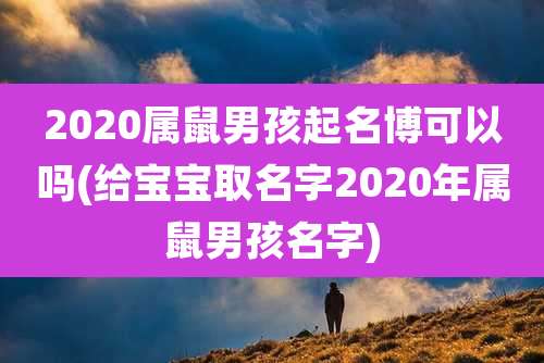 2020属鼠男孩起名博可以吗(给宝宝取名字2020年属鼠男孩名字)