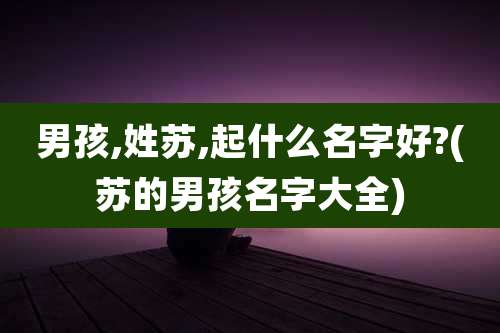 男孩,姓苏,起什么名字好?(苏的男孩名字大全)