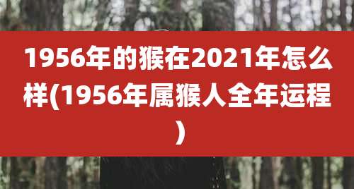 1956年的猴在2021年怎么样(1956年属猴人全年运程）