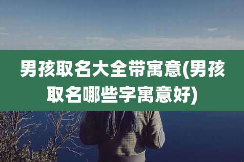 男孩取名大全带寓意(男孩取名哪些字寓意好)