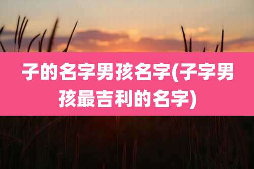 子的名字男孩名字(子字男孩最吉利的名字)