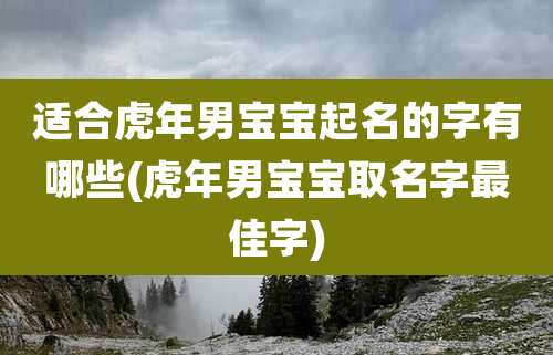 适合虎年男宝宝起名的字有哪些(虎年男宝宝取名字最佳字)