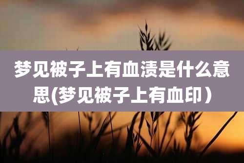 梦见被子上有血渍是什么意思(梦见被子上有血印)
