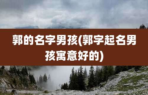 郭的名字男孩(郭字起名男孩寓意好的)