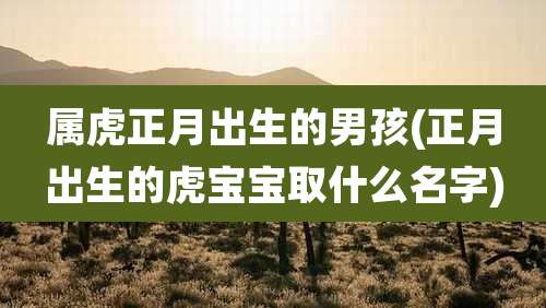 属虎正月出生的男孩(正月出生的虎宝宝取什么名字)
