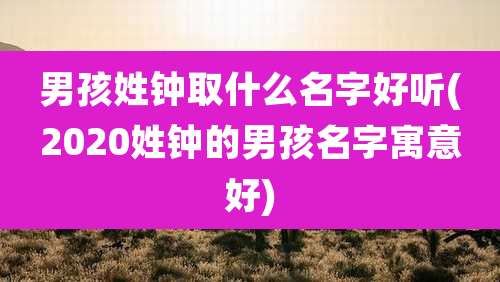 男孩姓钟取什么名字好听(2020姓钟的男孩名字寓意好)
