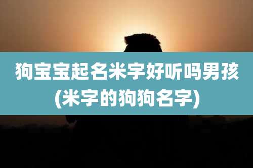 狗宝宝起名米字好听吗男孩(米字的狗狗名字)
