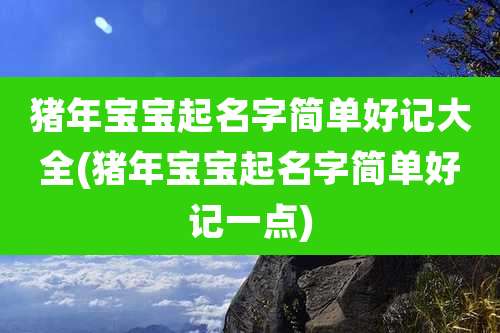 猪年宝宝起名字简单好记大全(猪年宝宝起名字简单好记一点)