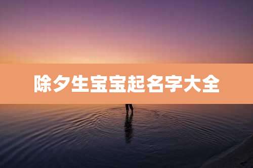 除夕生宝宝起名字大全
