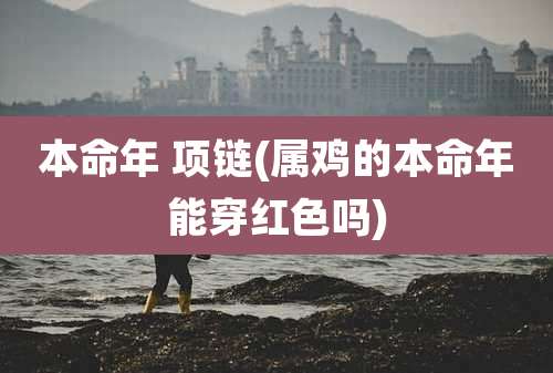 本命年 项链(属鸡的本命年能穿红色吗)
