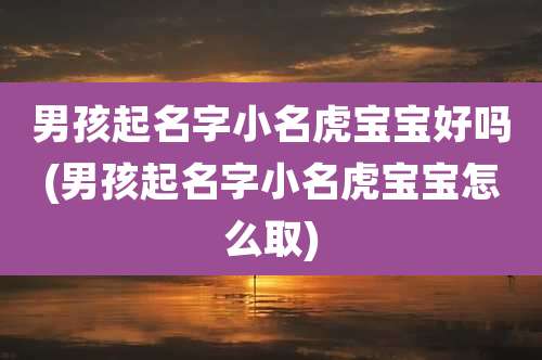 男孩起名字小名虎宝宝好吗(男孩起名字小名虎宝宝怎么取)