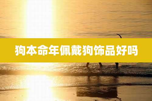 狗本命年佩戴狗饰品好吗