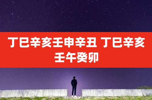 丁巳辛亥壬申辛丑 丁巳辛亥壬午癸卯