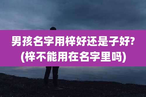 男孩名字用梓好还是子好?(梓不能用在名字里吗)
