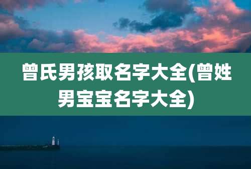 曾氏男孩取名字大全(曾姓男宝宝名字大全)