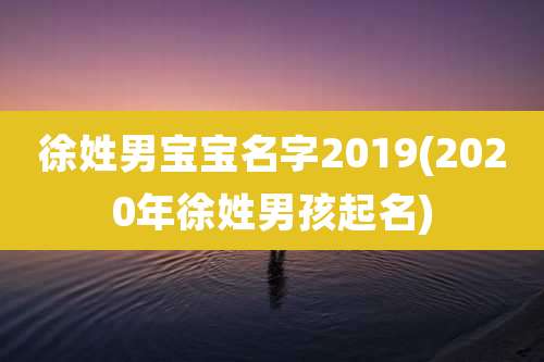 徐姓男宝宝名字2019(2020年徐姓男孩起名)