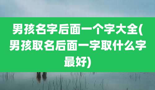 男孩名字后面一个字大全(男孩取名后面一字取什么字最好)
