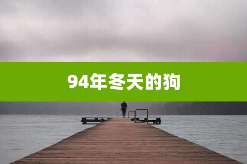 94年冬天的狗