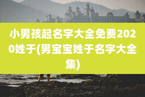 小男孩起名字大全免费2020姓于(男宝宝姓于名字大全集)