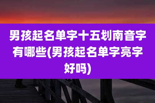 男孩起名单字十五划南音字有哪些(男孩起名单字亮字好吗)