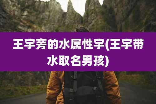 王字旁的水属性字(王字带水取名男孩)