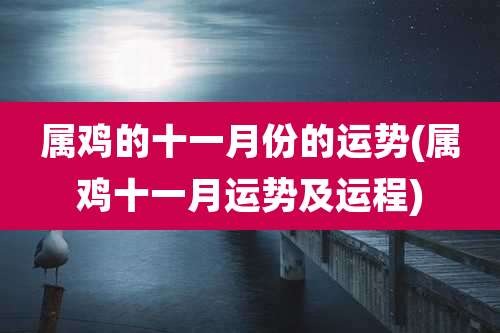 属鸡的十一月份的运势(属鸡十一月运势及运程)