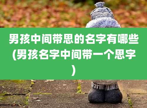男孩中间带思的名字有哪些(男孩名字中间带一个思字)