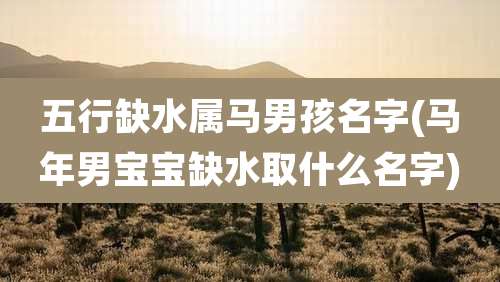 五行缺水属马男孩名字(马年男宝宝缺水取什么名字)