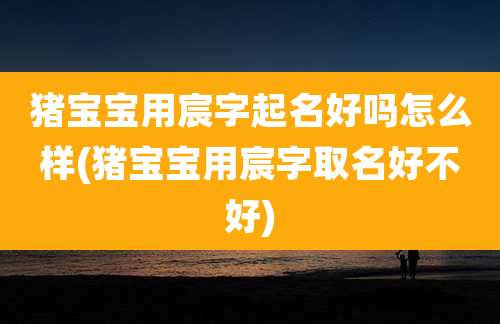 猪宝宝用宸字起名好吗怎么样(猪宝宝用宸字取名好不好)